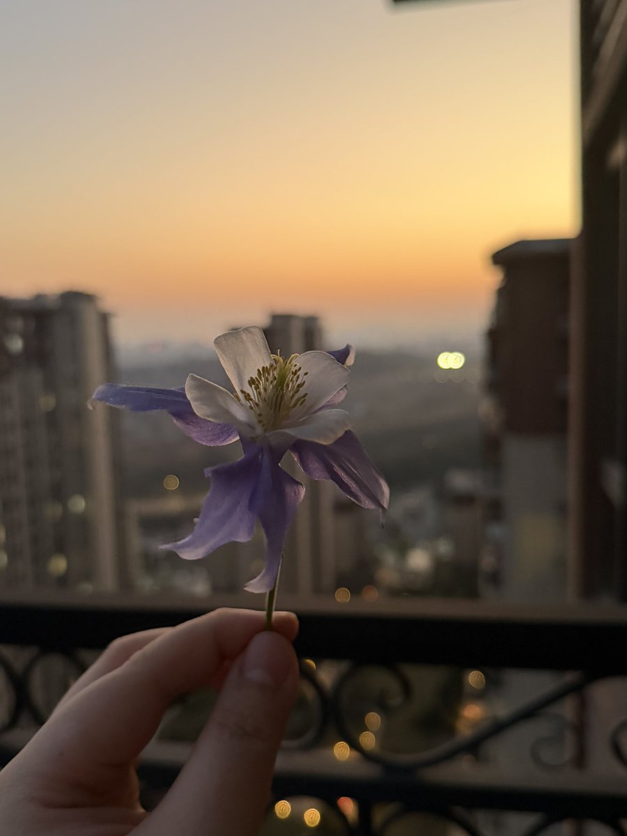 鐘江銘浩 tweet media