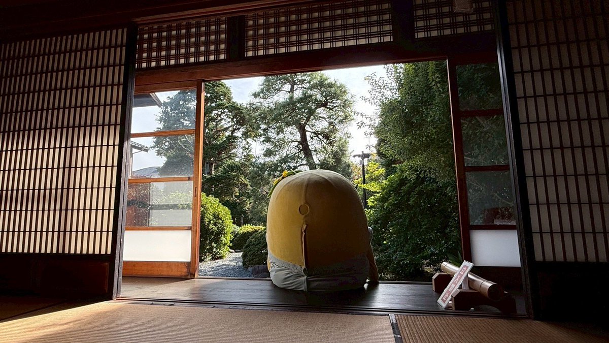 ふなっしー💙 tweet media