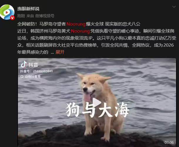 链上角度王 tweet media