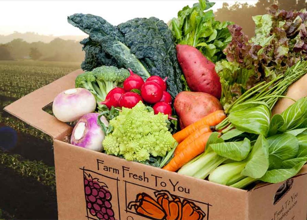 talius's tweet image. If you're in California or Utah (Salt Lake City region), you can save $15 off your first delivery of FarmFreshToYou organic fruit/veggies/meat/dairy/vegan options with #Coupon Code direct from farms and local growers/artisans. couponinfoweb.com/farm-fresh-to-…
