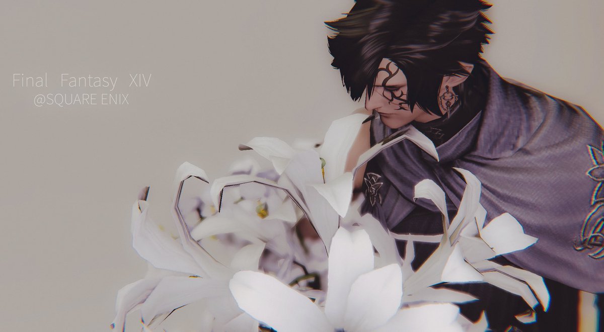 Raul 🜸 tweet media