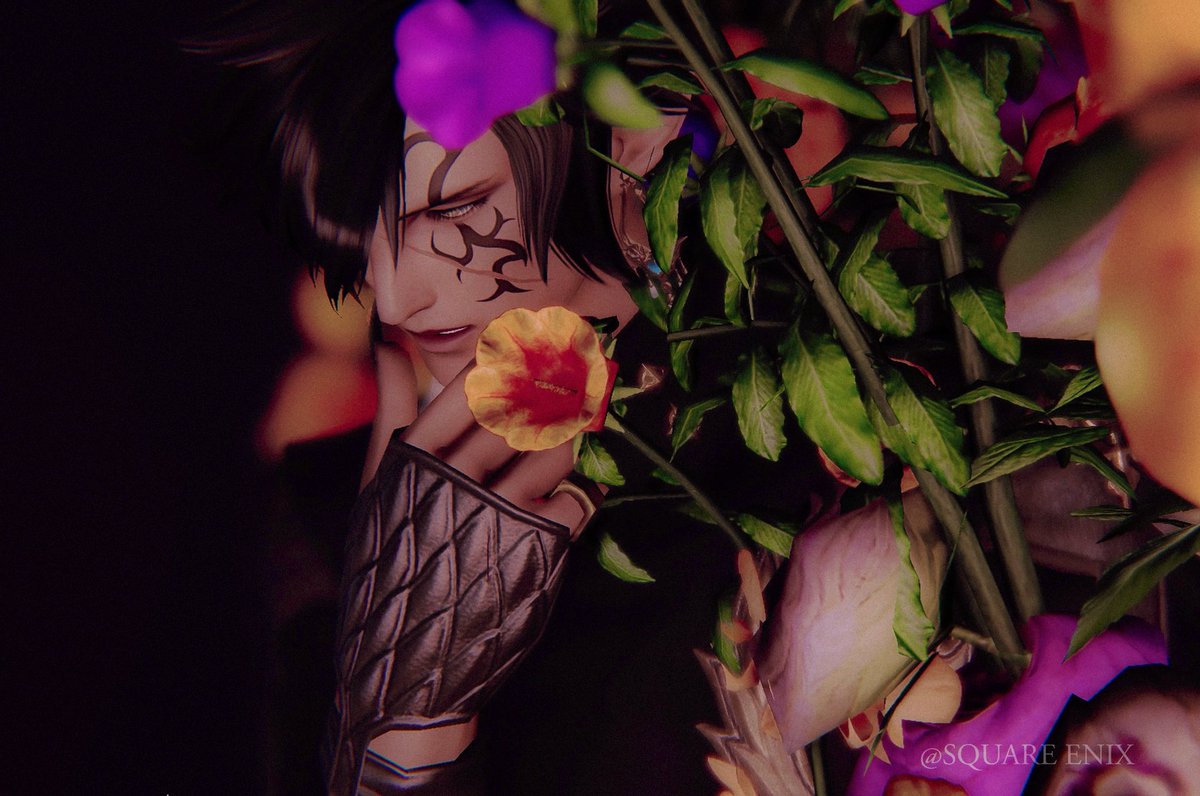 Raul 🜸 tweet media