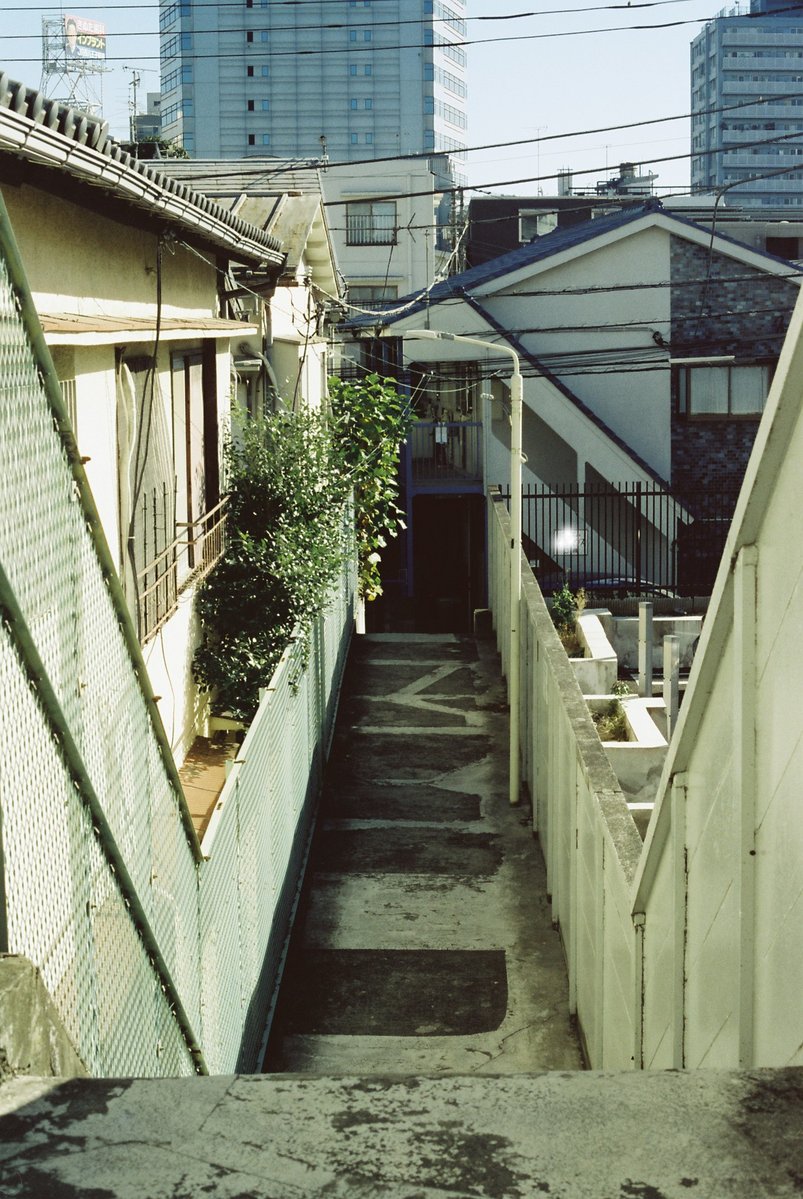 otomorihiro's tweet photo. ひょっとして一香が夏海なのでは？
#チャンプカメラ
#フィルム https://t.co/W6Bsqbpyoy