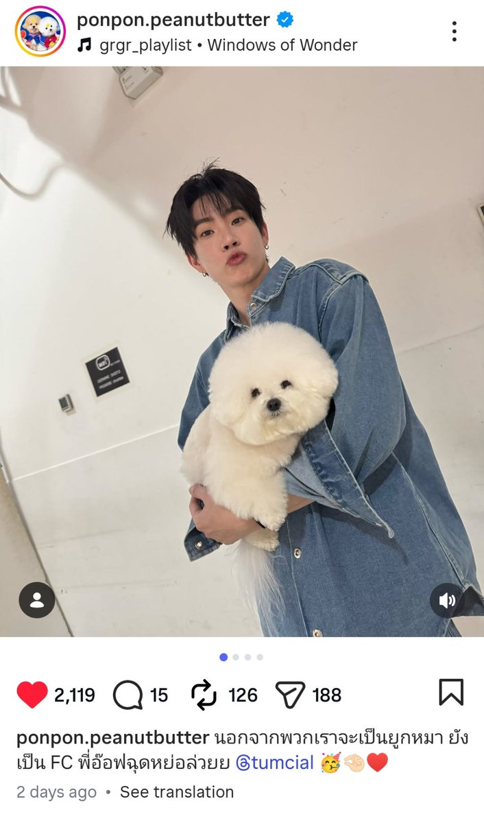 nawtornot's tweet photo. @timegoesbyechi @Estukaind That man just took a picture with dog days ago but guess what? The owner just followed his wife https://t.co/uqiF5dlY5G