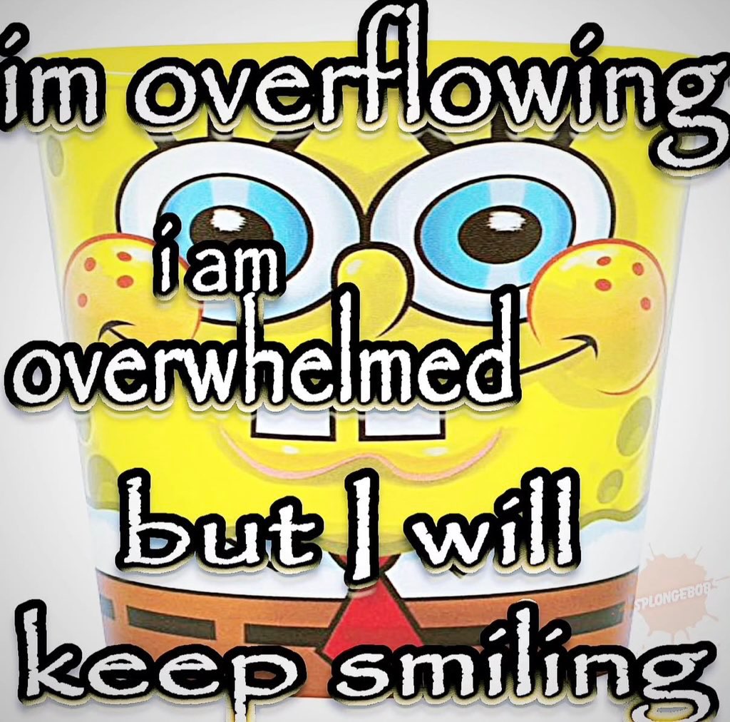 sponge.mp4 tweet media