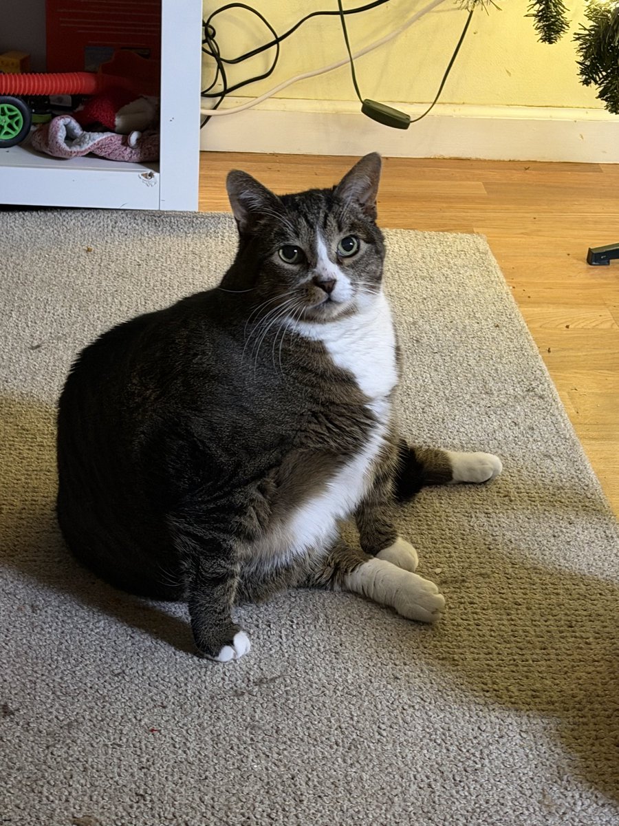 Yall think the hail today was chonky Storm is looking like an absolute UNIT tonight.