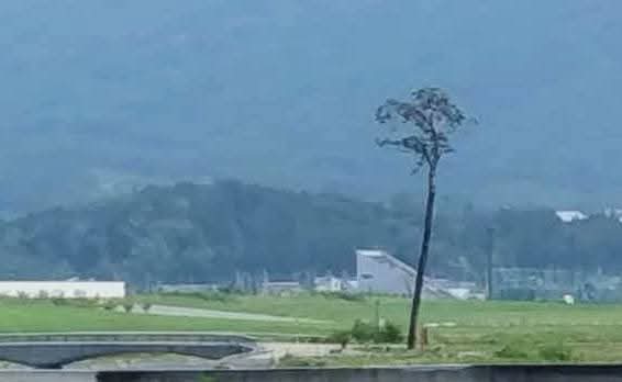 石と賢治のミュージアム(公式) tweet media