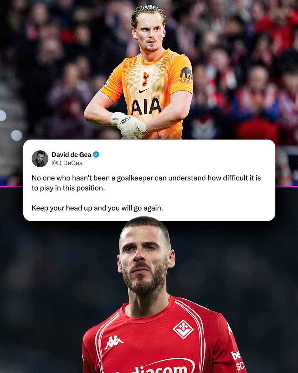 Goal Bears tweet media