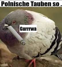 RoboSnop tweet media