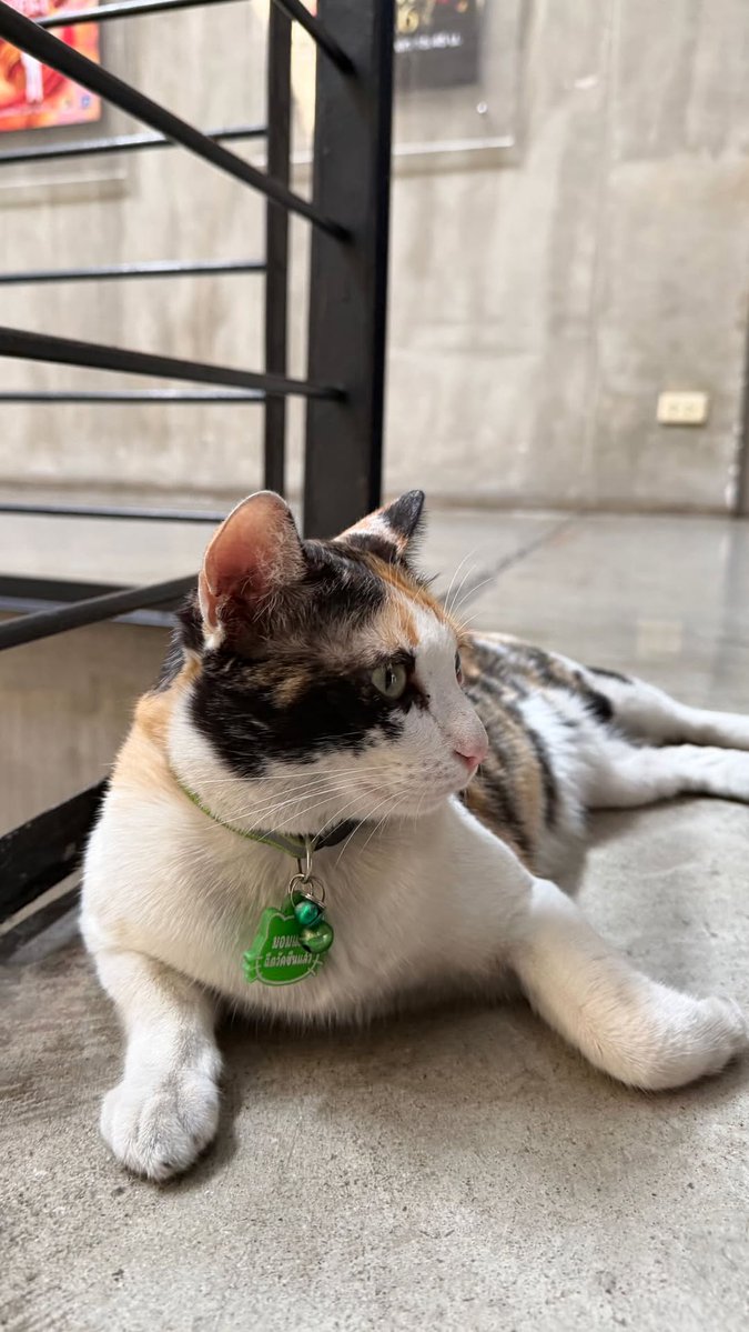 📆 2026.03.11
IGs ohm_thitiwat update

📌;instagram.com/stories/ohm_th…

#OhmThitiwat <a href="/ohmthitiwat/">Ohm act as P’U ,,because of U (OhmTR)</a>