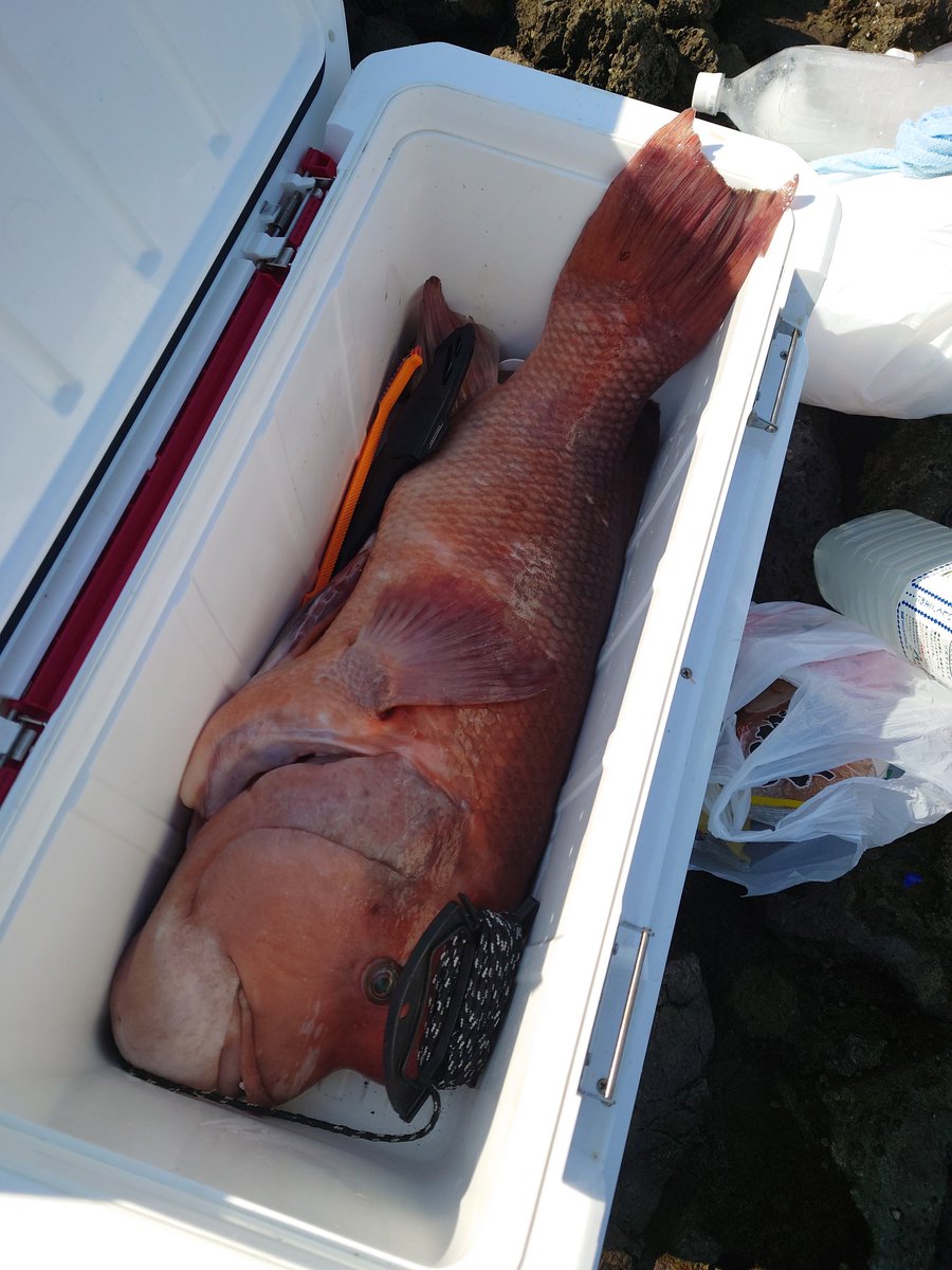 どこぞの某 tweet media