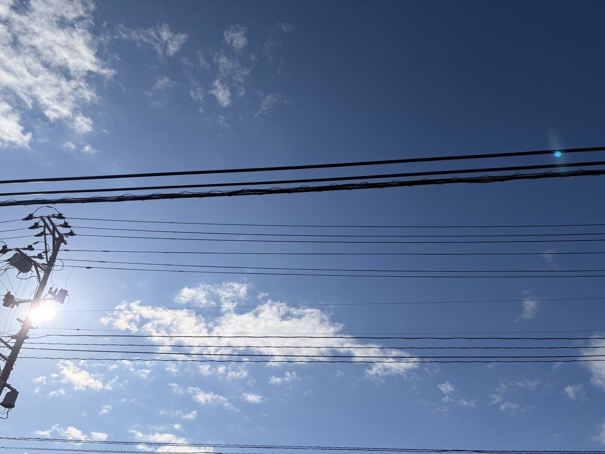 アイヴィー楽器&IMS tweet media