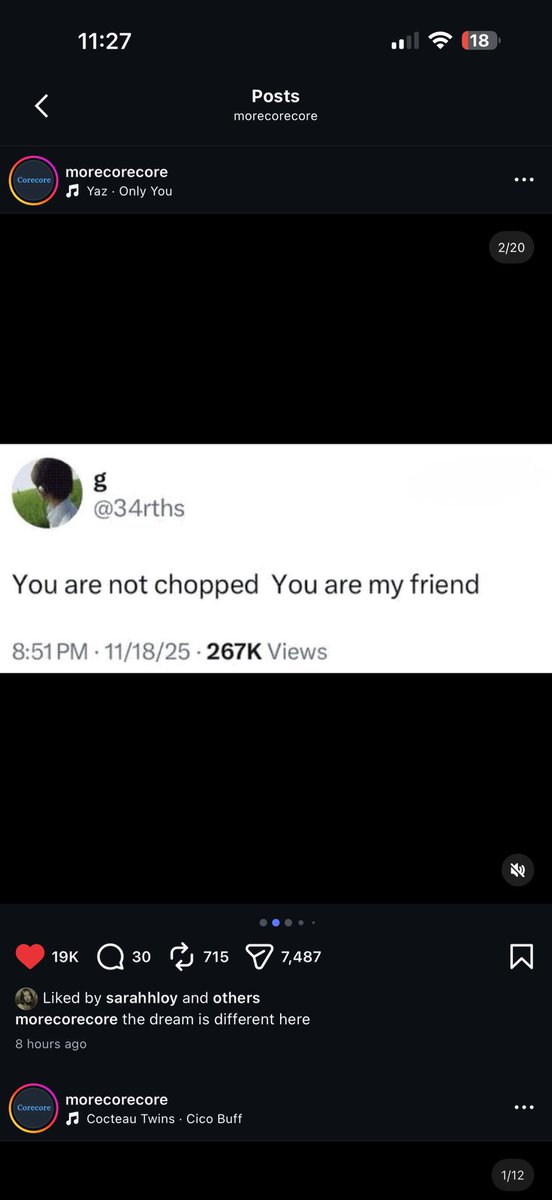 neko ☆ tweet media