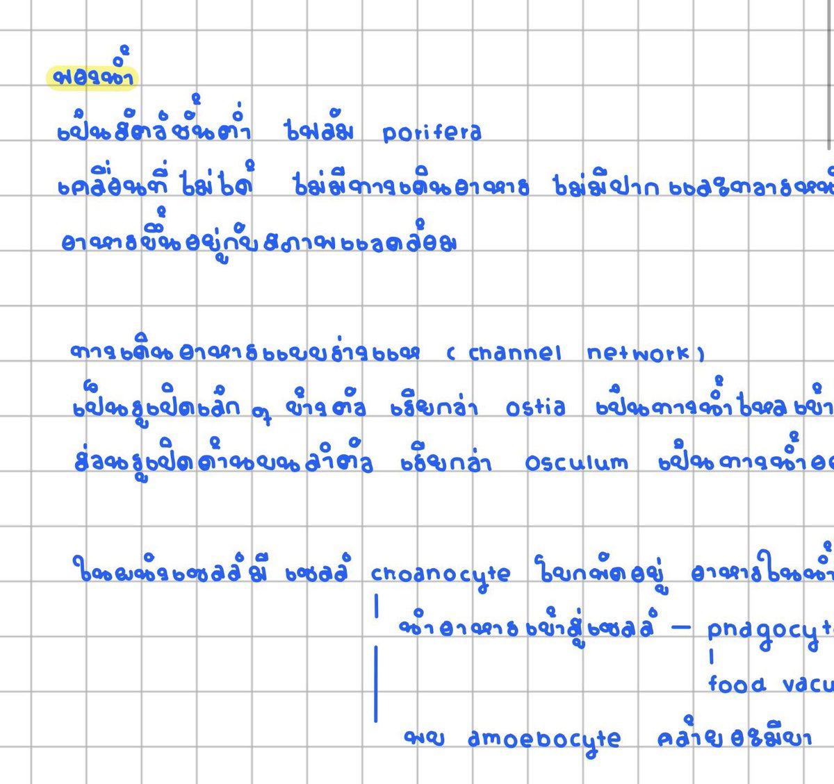 bbb้ tweet media