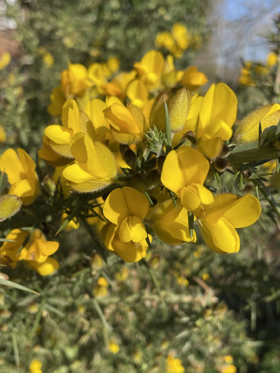 Tony Warne tweet media