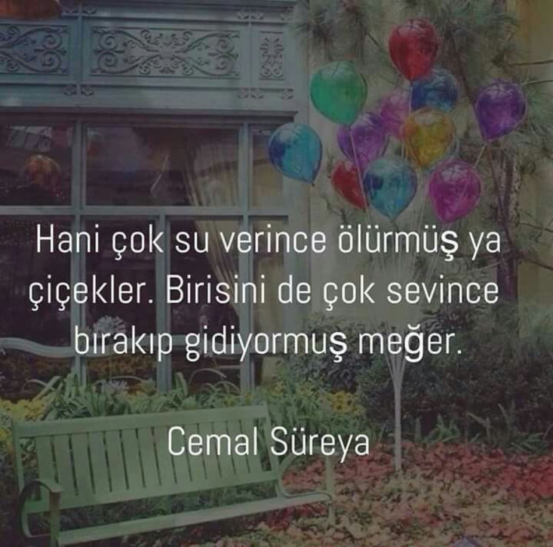 Cemal Süreya tweet media