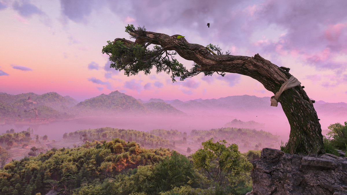 Troy 🇦🇺 tweet media