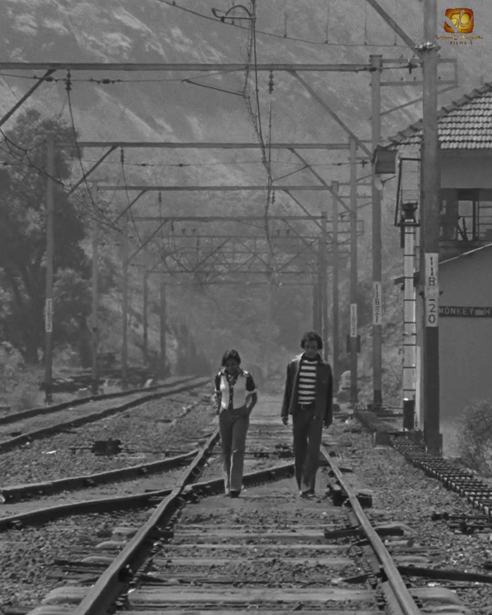 Vidhu Vinod Chopra Films tweet media