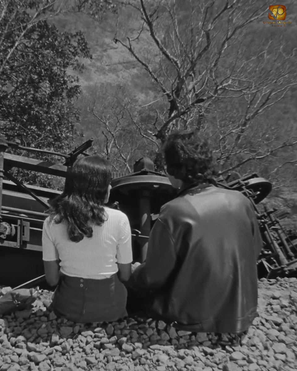 Vidhu Vinod Chopra Films tweet media