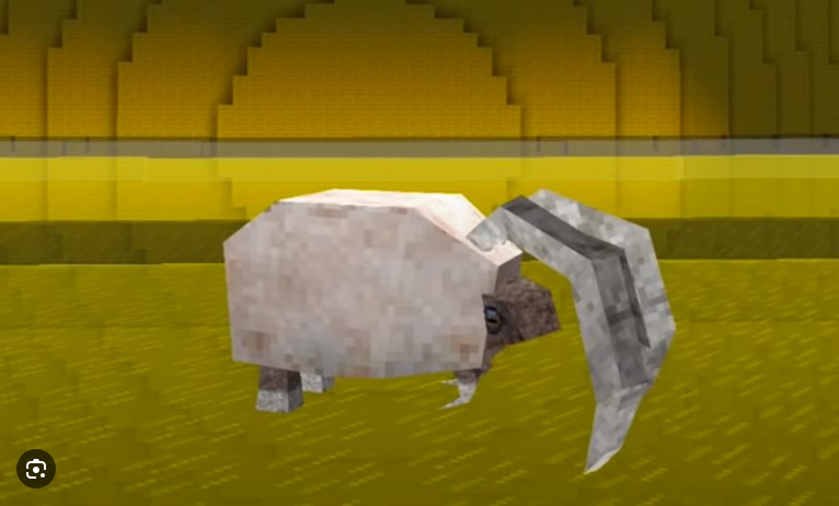 Kolo Panoco tweet media