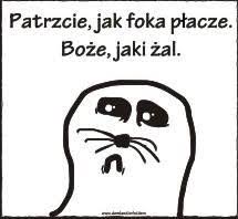 Maciej Zając tweet media