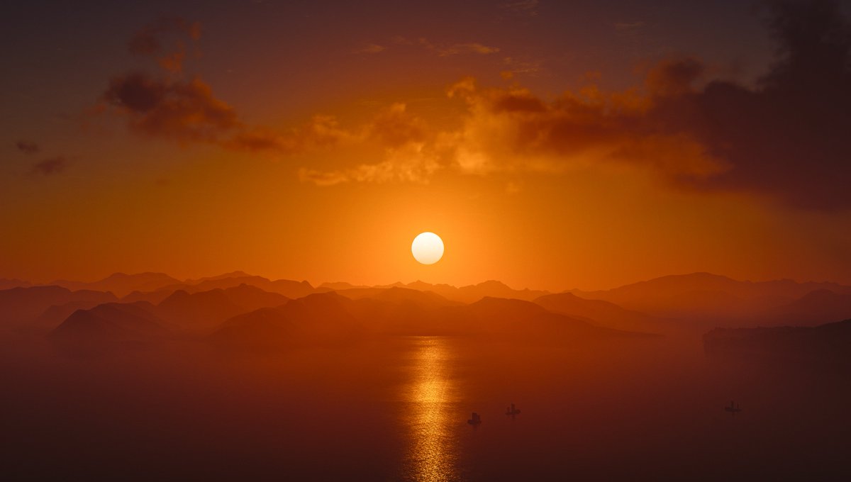 Troy 🇦🇺 tweet media