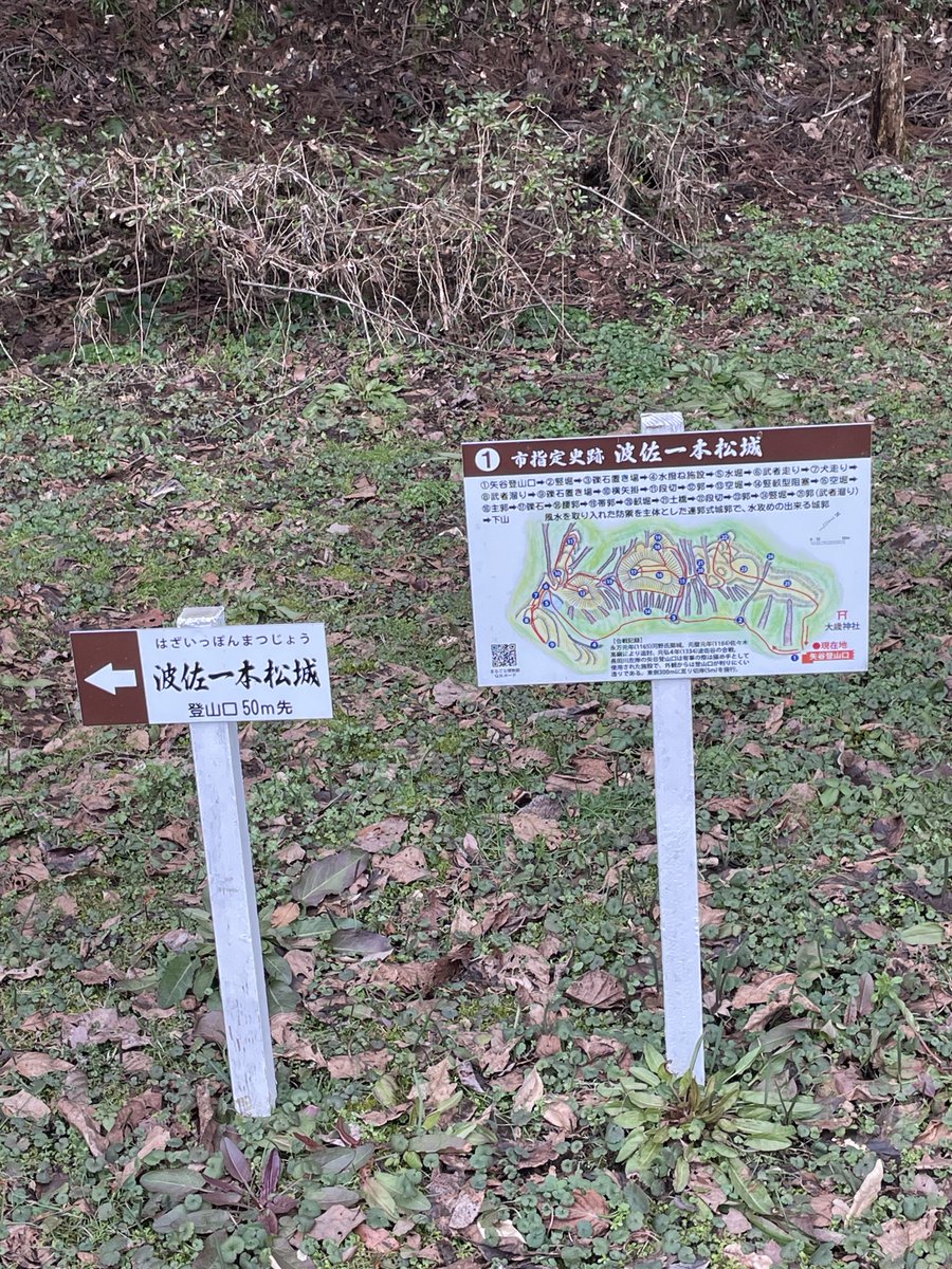 007fukuryu's tweet photo. 石見　波佐一本松城

麓の大歳神社に🚗を止めて舗装道路をしばらく進むと登山口の看板あり。看板や説明板はたくさんありますが、登城道がわかりにくいです。少し迷いながら20分ほどで何とか主郭に到着。よほど好きじゃなきゃ登らない城かな🤔竪堀はしっかり確認できます。#波佐一本松城 #城巡り #竪堀 https://t.co/NQ63G8GUFW