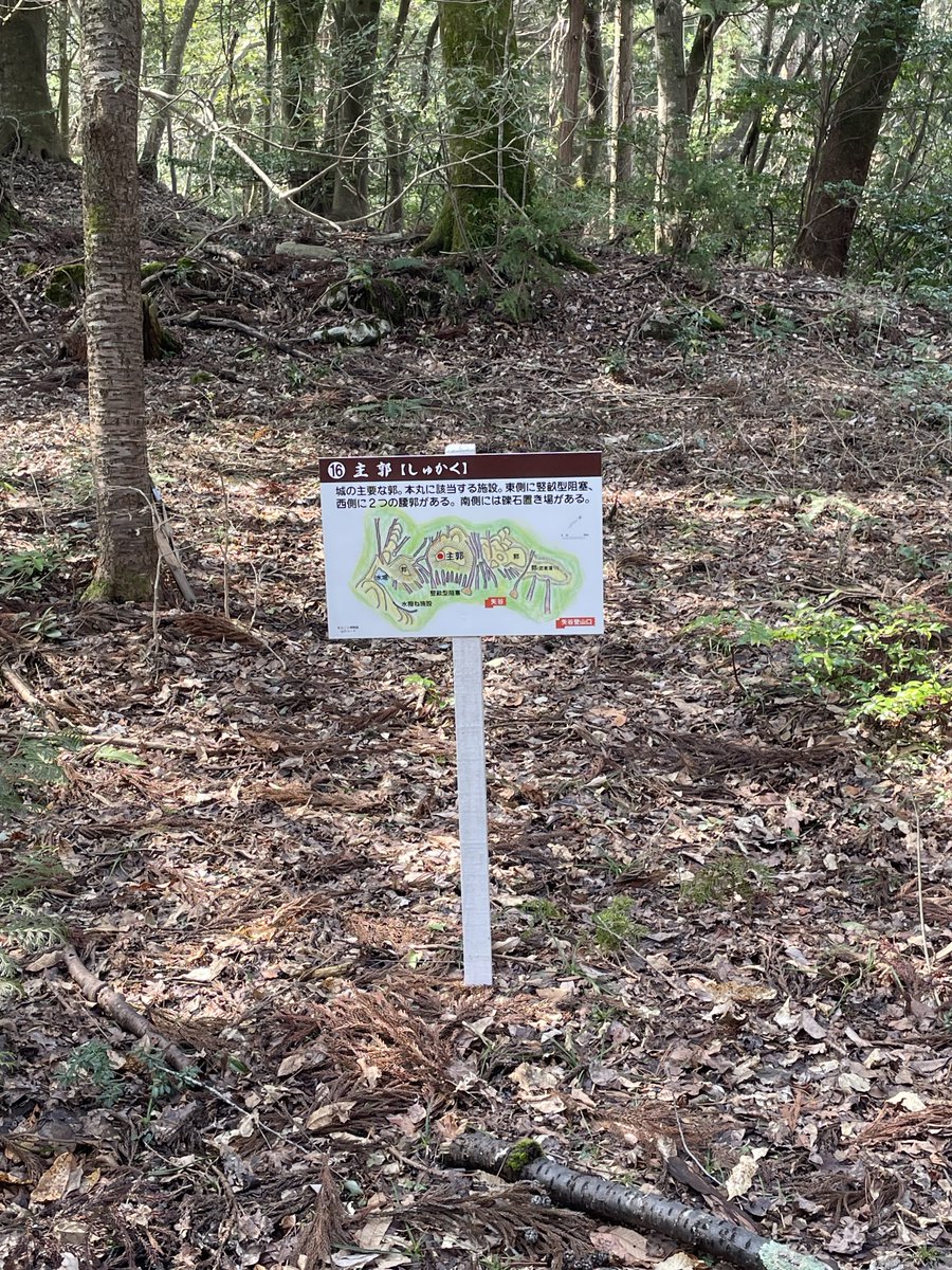 007fukuryu's tweet photo. 石見　波佐一本松城

麓の大歳神社に🚗を止めて舗装道路をしばらく進むと登山口の看板あり。看板や説明板はたくさんありますが、登城道がわかりにくいです。少し迷いながら20分ほどで何とか主郭に到着。よほど好きじゃなきゃ登らない城かな🤔竪堀はしっかり確認できます。#波佐一本松城 #城巡り #竪堀 https://t.co/NQ63G8GUFW