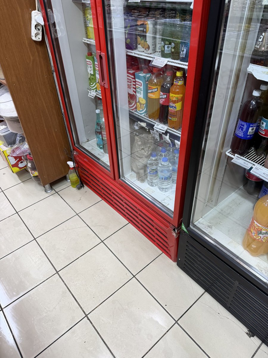 Rory Bond - takingoverrome.com tweet media