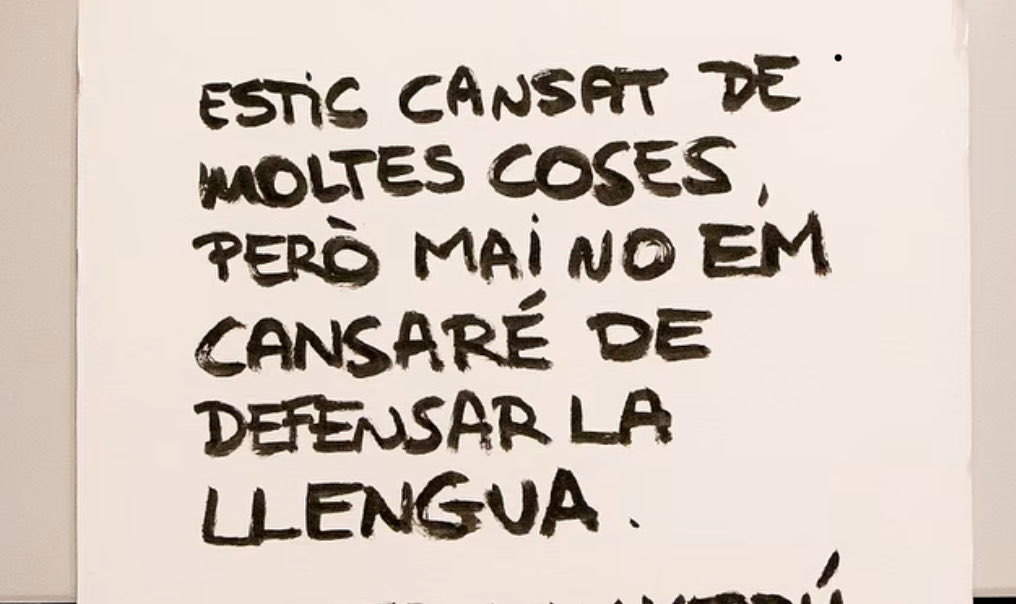 joanmoixet13's tweet photo. https://t.co/066VMq885e