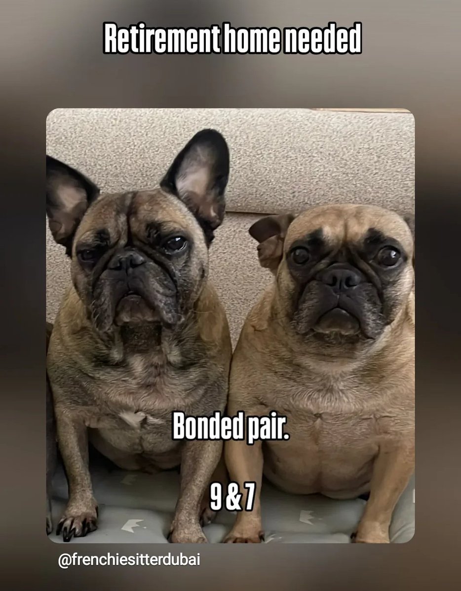 Claire Hopkin 🏴󠁧󠁢󠁷󠁬󠁳󠁿 tweet media