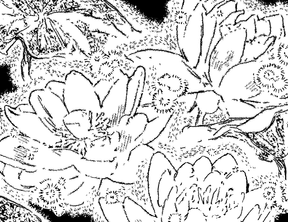 백대칼BDK tweet media