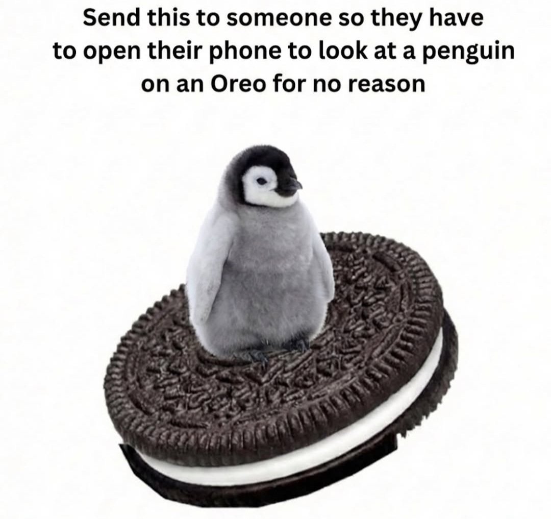 ✧✧✧ tweet media