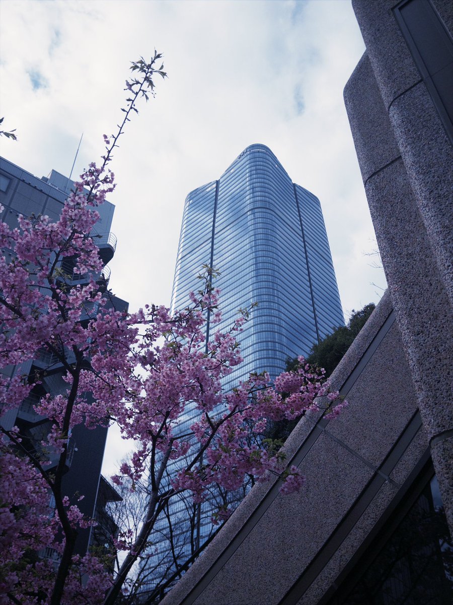 eijichi_'s tweet photo. 74th 🌸 https://t.co/85bd9wz3Sf
