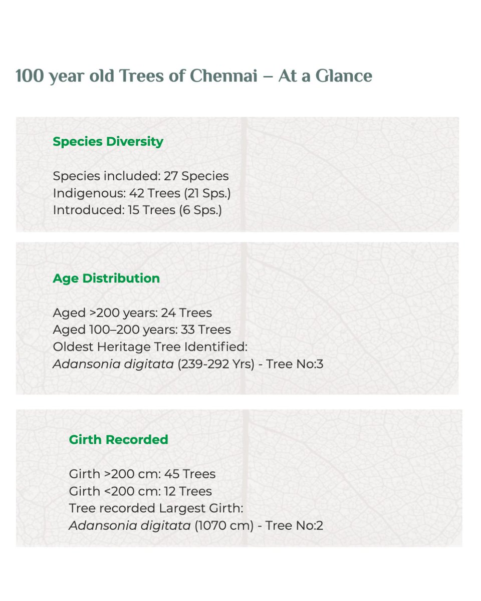 tnforestdept's tweet photo. The study finds 24 trees over 200 years old and 33 between 100–200 years.

The oldest identified tree — a Baobab (Adansonia digitata) — is estimated to be 239–292 years old, predating Chennai’s transformation into a major metropolis.

@supriyasahuias #Climate #Trees #Forest https://t.co/zENKSEO3zJ