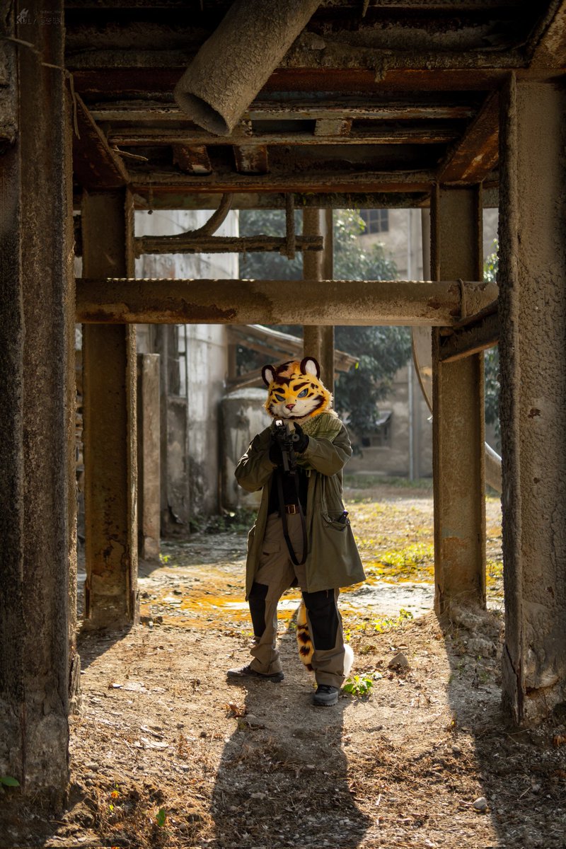 MccainCruz tweet media