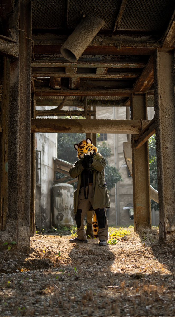 MccainCruz tweet media