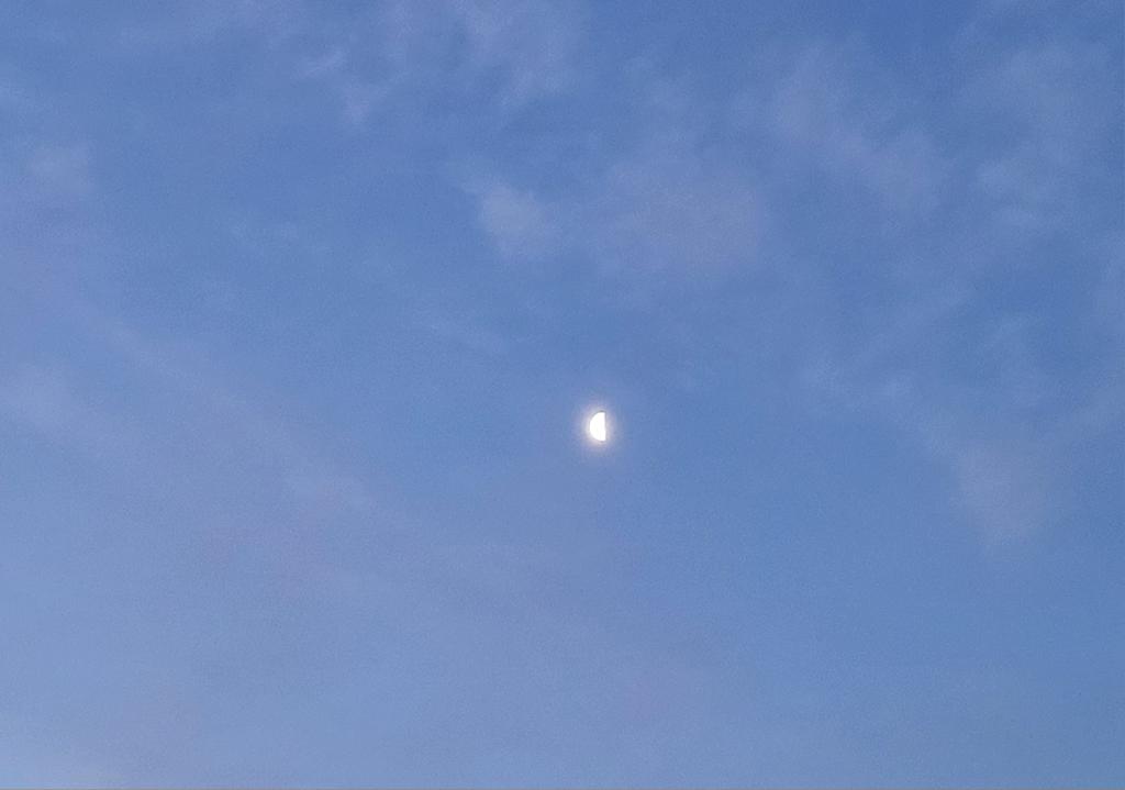 Y se fueron las nubes y el amanecer nos deja ver a la tímida luna que ya se va. Buenos días, feliz miércoles, café ☕️  y al lío!