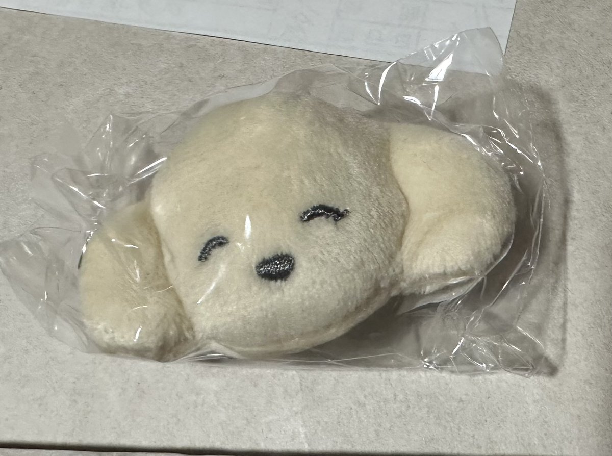 愛花🌻 tweet media