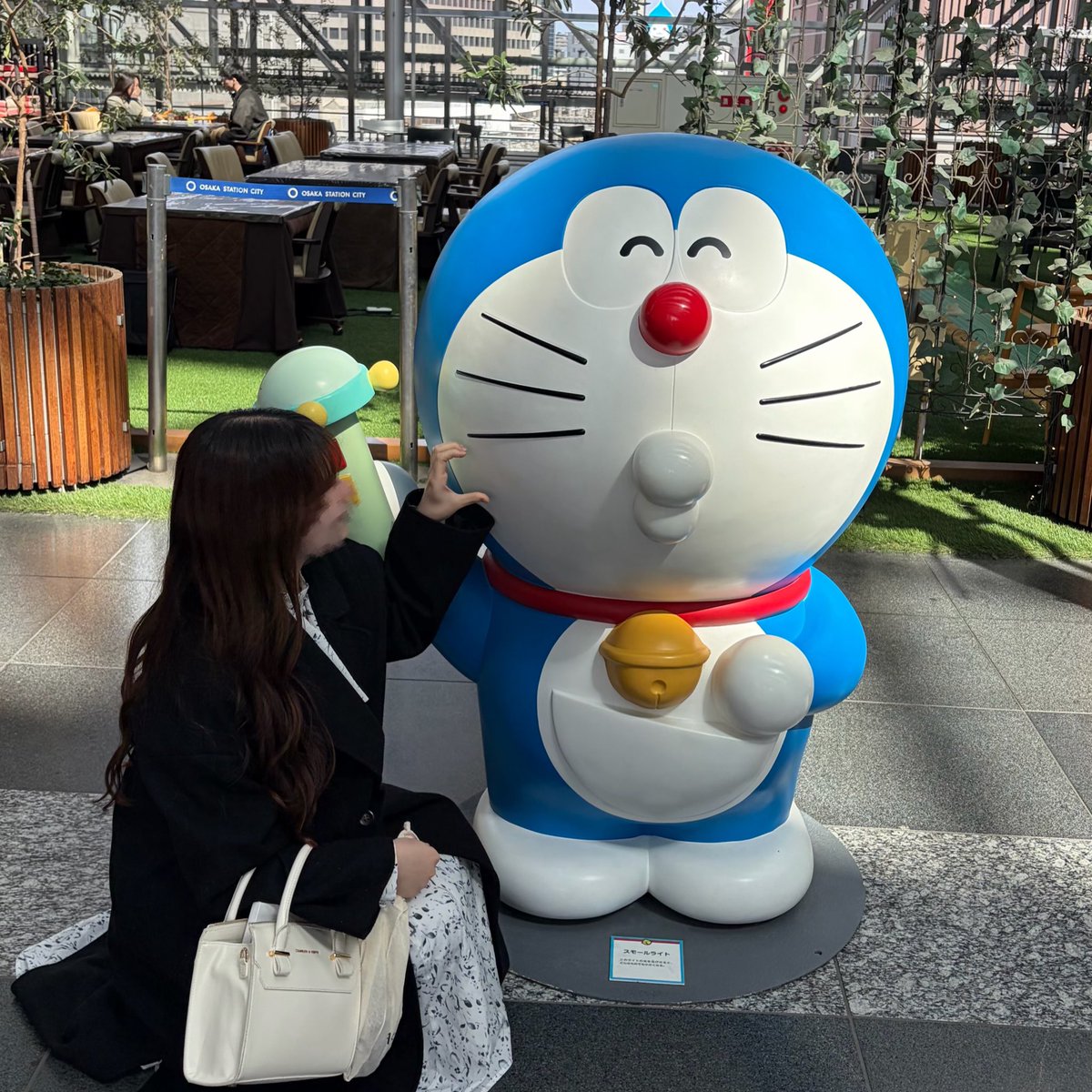 にゃん🐱 tweet media