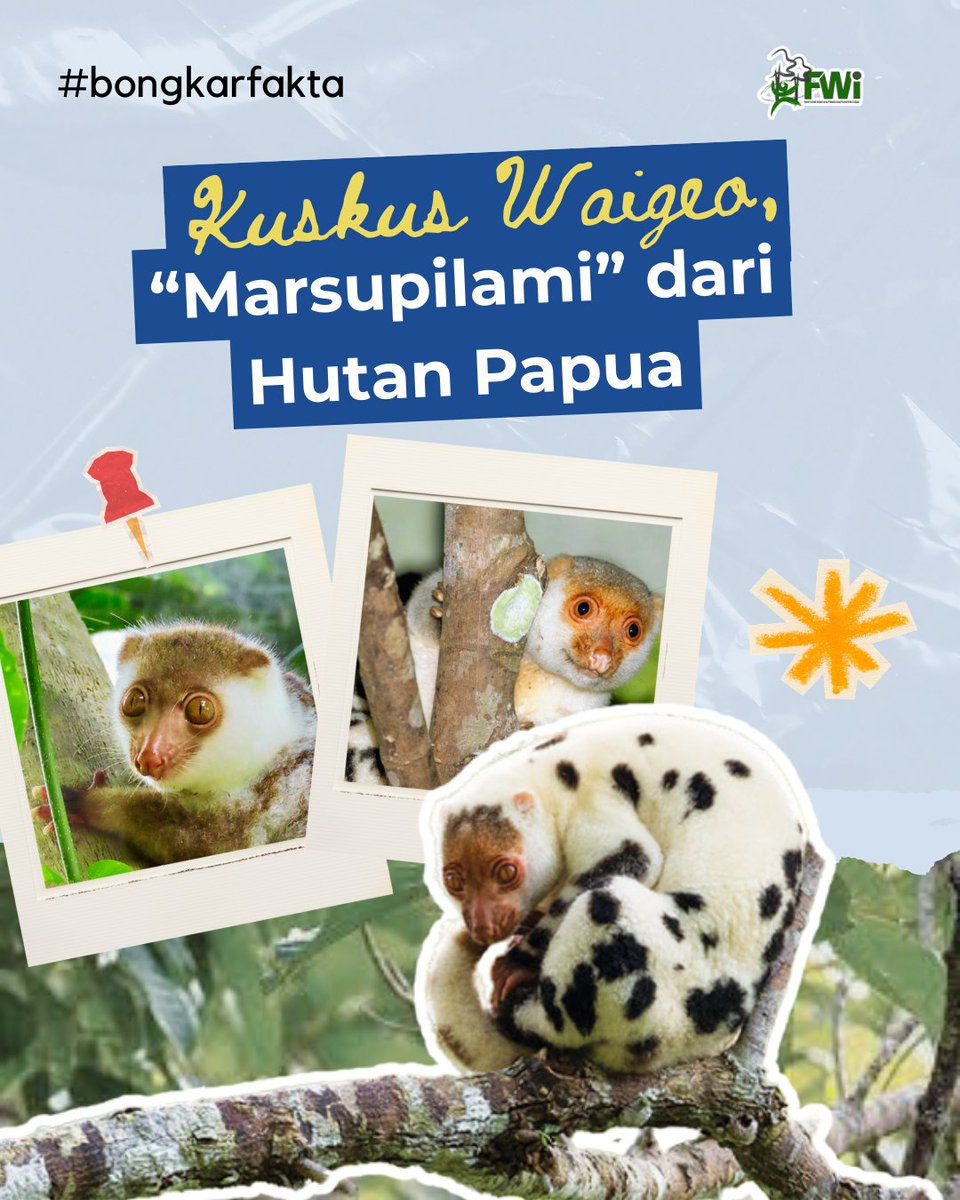 Forest Watch Indonesia tweet media