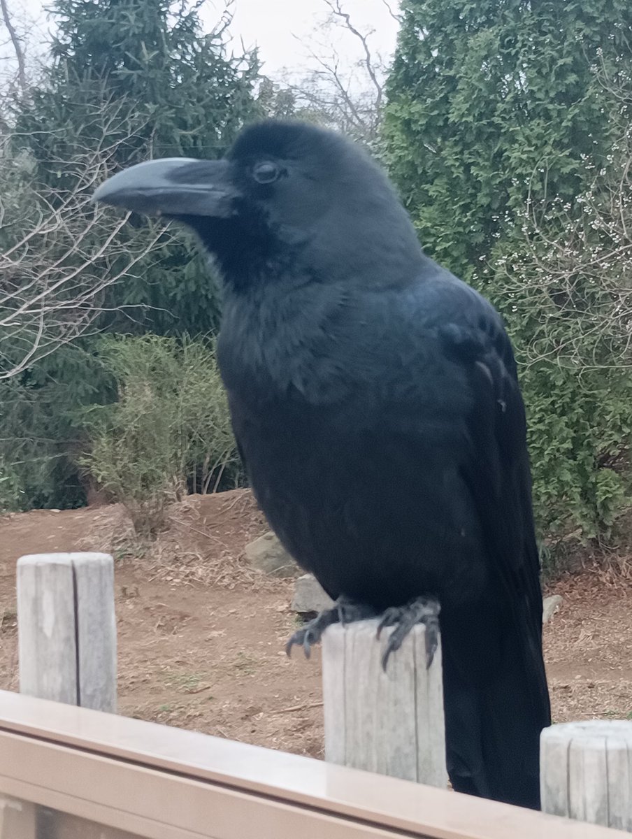 三人麻雀エスプリ (八丁堀駅) tweet media