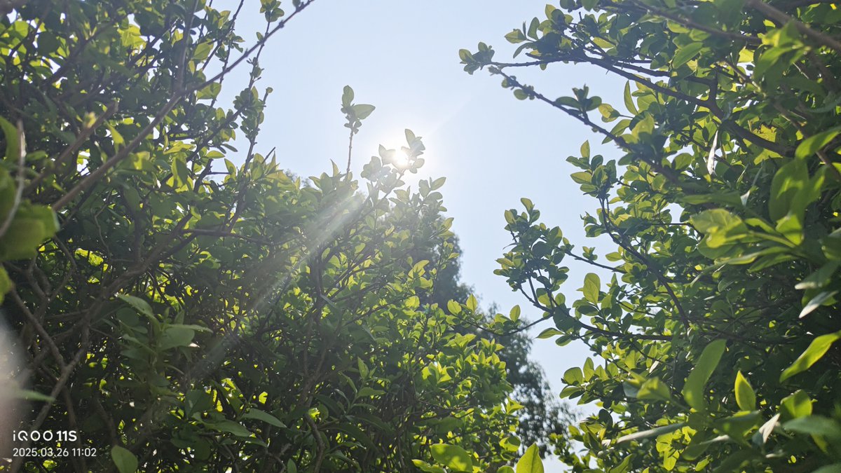 Year 6 Teacher tweet media