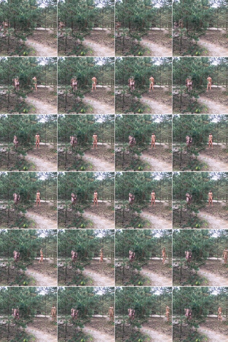 mistercorn tweet media