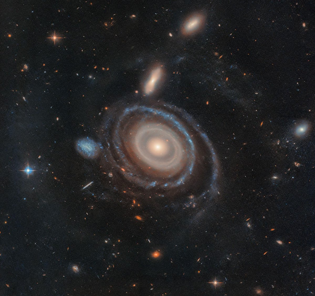 SpaceExp tweet media