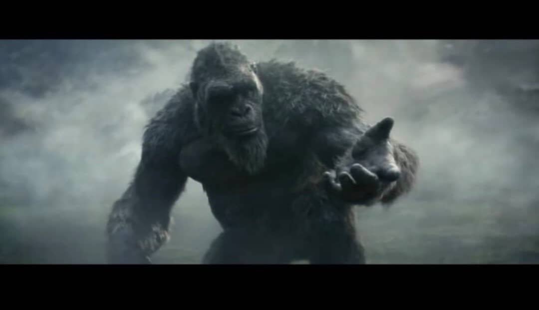 ELIJAH SULE tweet media