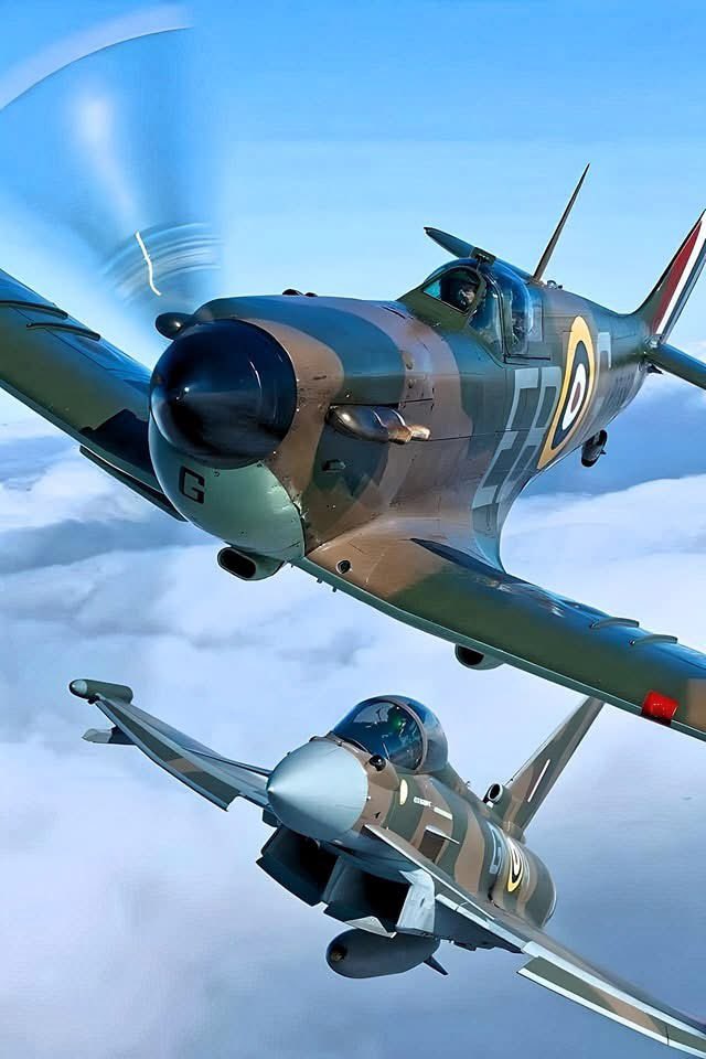 SYLVIA 🇫🇷 ♥️🇺🇦 (@sylvia70485099) on Twitter photo 