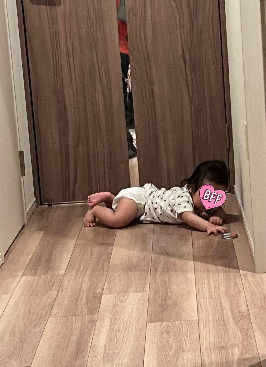 今日で息子赤ちゃんが8ヶ月に👶✨
体重は9kgほど

上の娘はこの頃はもう1人で座りつかまり立ちラブで転ぶから超大変だった

息子赤ちゃんは、謎にずっとブリッジして筋トレしてたりずりばいでいろんなところに探検したり。座る立つ気配なくまだ楽！！

体はぜひゆっくり成長してほしい😂