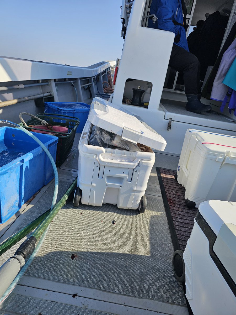 汐太郎@九州磯釣水産 tweet media