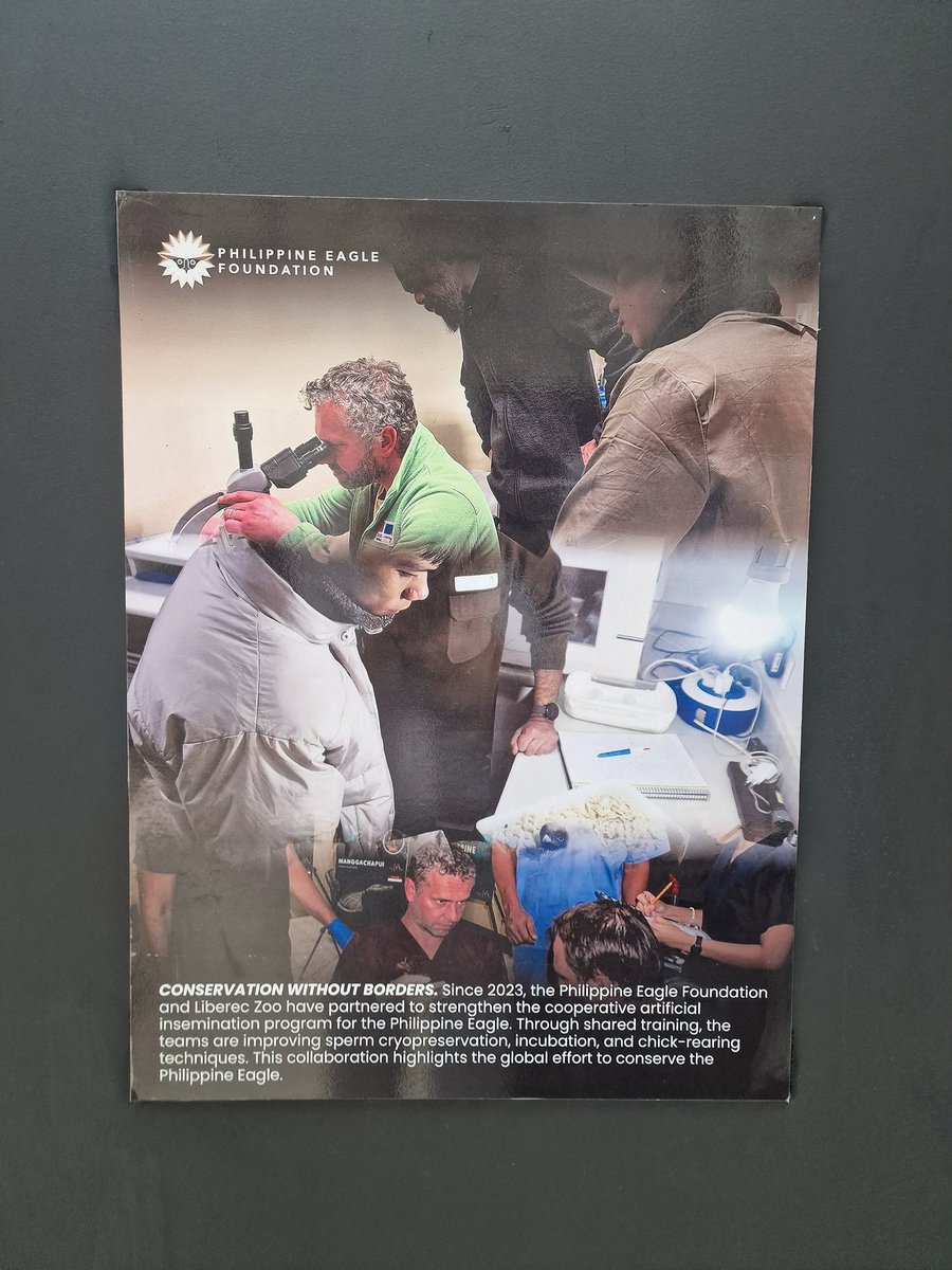 Czech Embassy in Manila tweet media